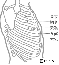 食窦穴