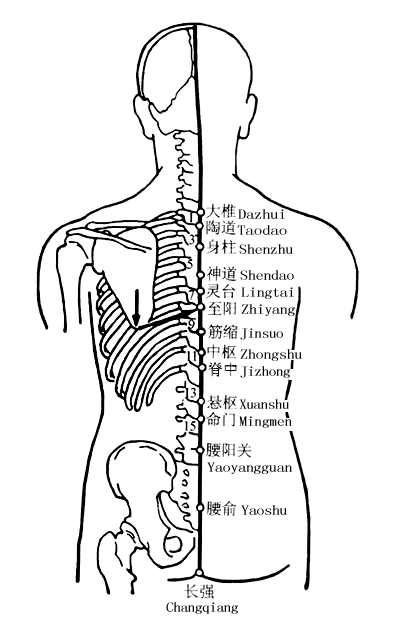 腰阳关穴