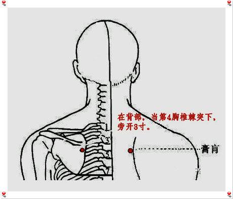 膏肓穴