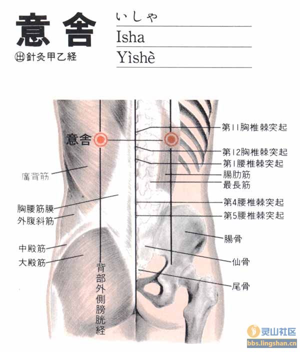 意舍穴