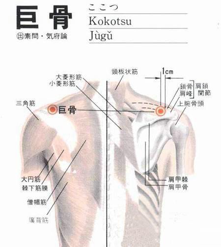 巨骨穴