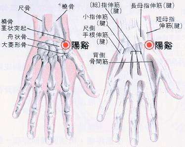 阳溪穴