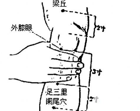 足三里穴